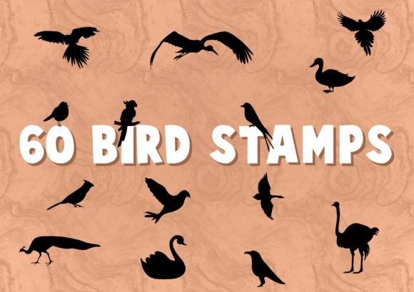 60 Bird Stamps for Procreate: A Creative Asset for Modern Digital Designers
